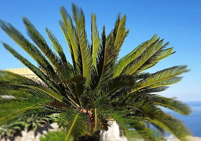 Luxury With Private Pool - Sea & Mount Etna Views - Historic Center - 5 Bedroom Configuration Villa Taormina